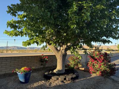 Photo 5 of 32 of home located at 22601 Bear Valley Rd #63 Apple Valley, CA 92308