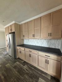 2025 Skyline Mobile Home