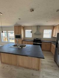 2025 Skyline Mobile Home