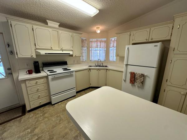 1993 Skyline Mobile Home