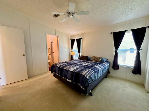 1993 Skyline Mobile Home