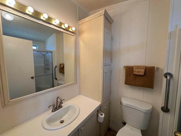 1993 Skyline Mobile Home