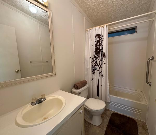 1993 Skyline Mobile Home