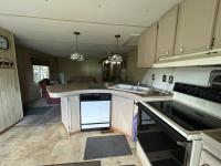 1981 LIBE  Home