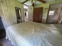 1981 LIBE  Home