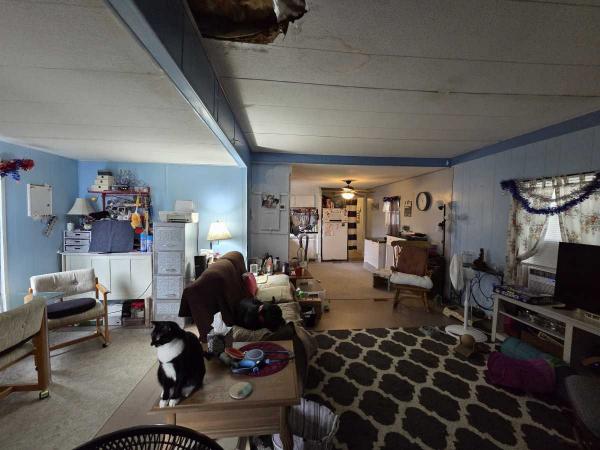 1973 BROA Mobile Home