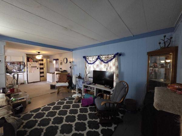 1973 BROA Mobile Home