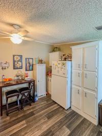 1996 SKYLINE Mobile Home