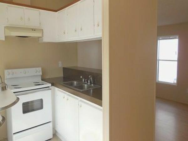 1995 Skyline Mobile Home For Sale