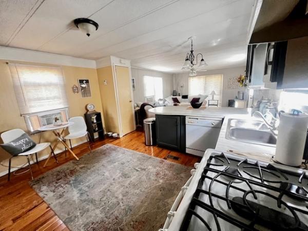 1986 Skyline Mobile Home