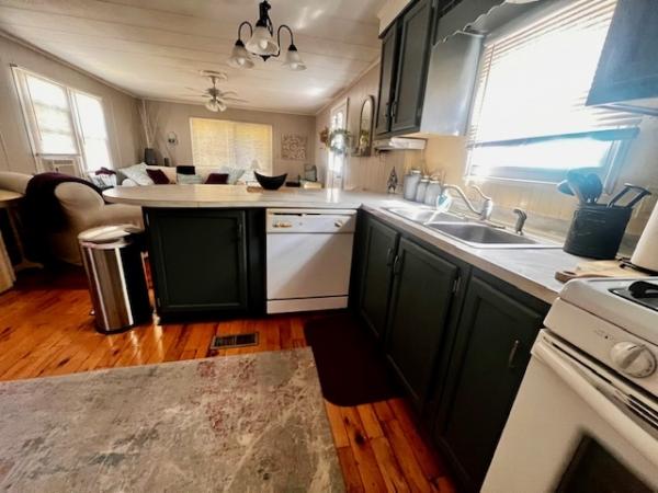 1986 Skyline Mobile Home