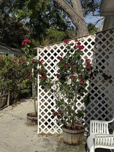 Photo 5 of 29 of home located at 226 Melodie Ln. Pierson, FL 32180