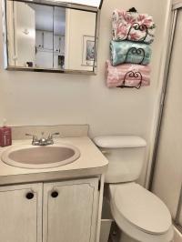 1971 2BD/2BA Mobile Home