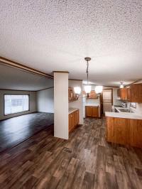 1995 Detroiter Manufactured Home