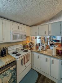 1996 SKYLINE Mobile Home