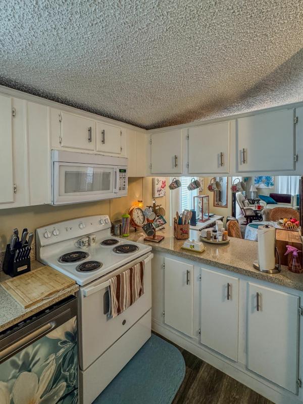 1996 SKYLINE Mobile Home
