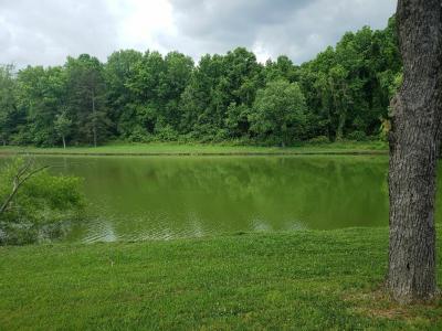 Mobile Home at 163 Red Oak Court Brown Summit, NC 27214