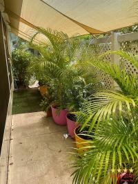 1994 PALM   Home
