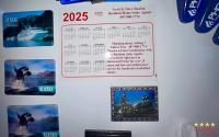 1994 PALM   Home