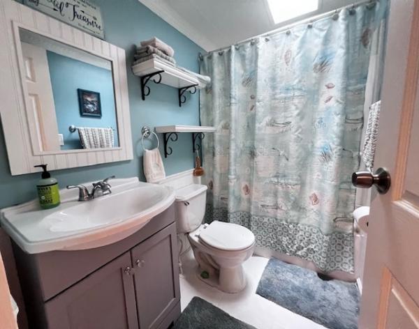 1995 Skyline Mobile Home