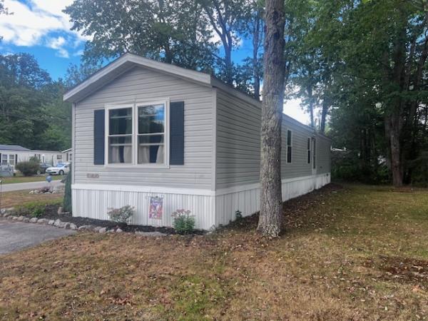 1995 Skyline Mobile Home