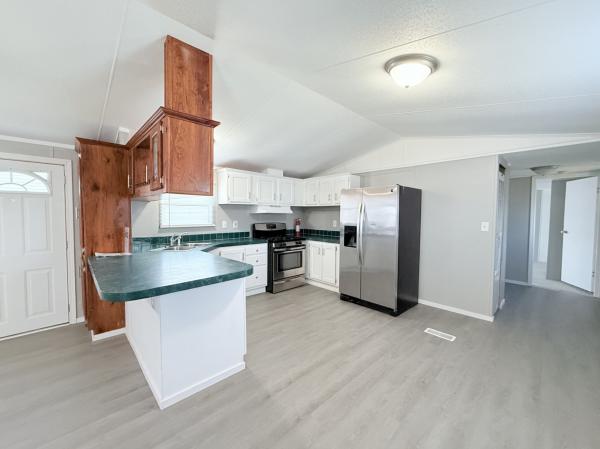 1999 Skyline mobile Home