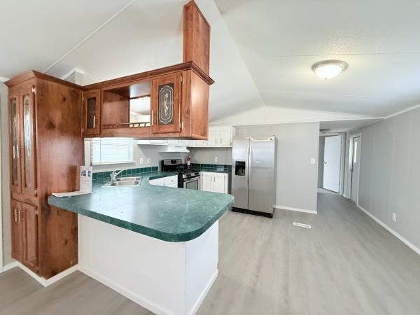 1999 Skyline mobile Home