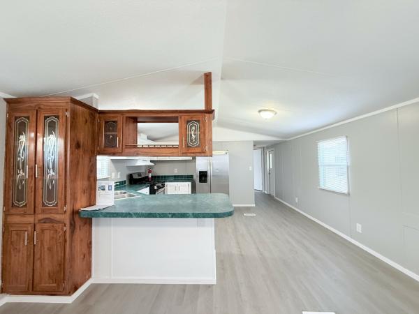 1999 Skyline mobile Home