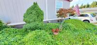 Fleetwood Manufactured Home
