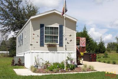 Mobile Home at 7101 West Anthony Rd Ocala, FL 34479