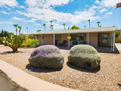 Photo 2 of 41 of home located at 3400 S. Ironwood Drive, Lot 404 Apache Junction, AZ 85120
