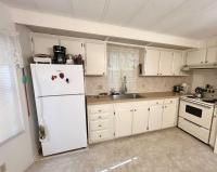 1980 Mobile Home