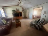 1987 Skyline Mobile Home