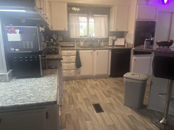 1980 Skyline Mobile Home