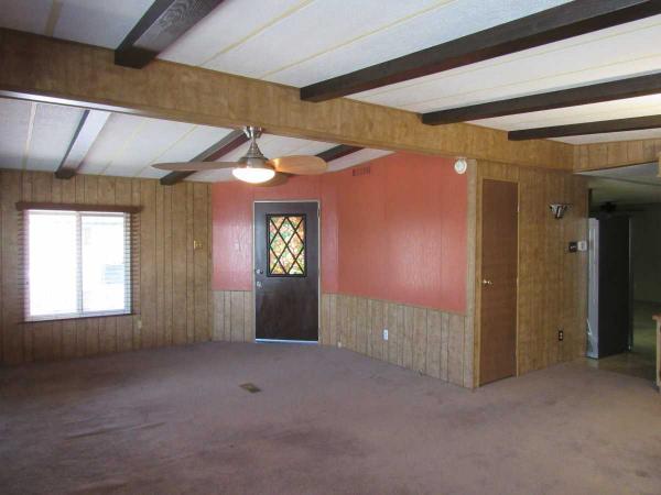 1979 Sahara Mobile Home