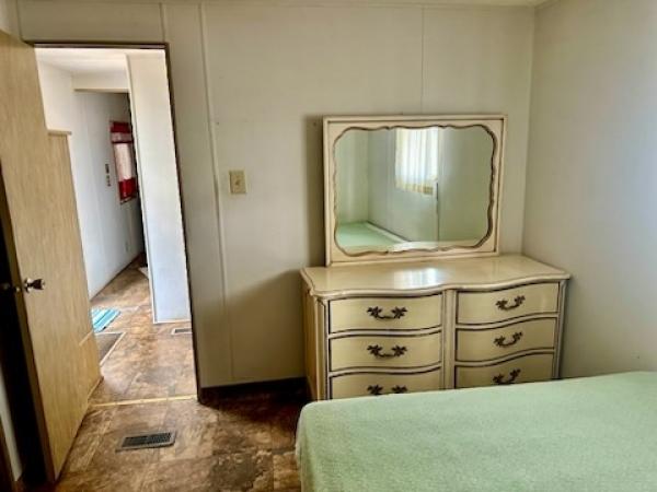 1970 Skyline Manufactured Home