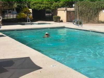 Mobile Home at 10960 N 67th Avenue #182 Glendale, AZ 85304