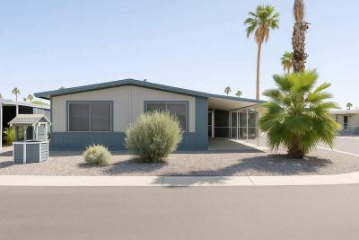 Mobile Home at 3300 E. Broadway Rd. #132 Mesa, AZ 85204
