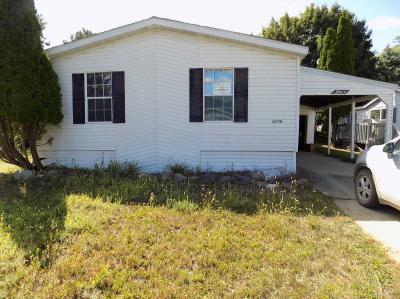 Mobile Home at 6216 W Adams Belleville, MI 48111