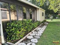 1985 PALM   Home