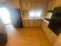 1971 Skyline Mobile Home