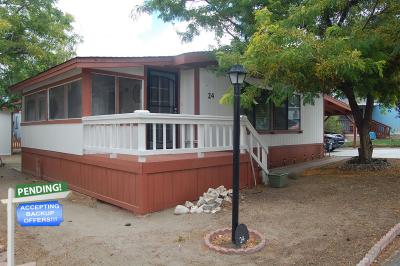 Mobile Home at 101 Lincoln Hwy #24 Wadsworth, NV 89442