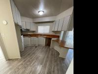 1977 Skyline Manufactured Home