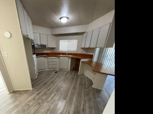 1977 Skyline Manufactured Home