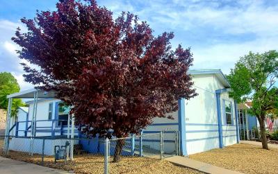 Mobile Home at 1059 Sable Circle Lot Sc1059 Las Cruces, NM 88001