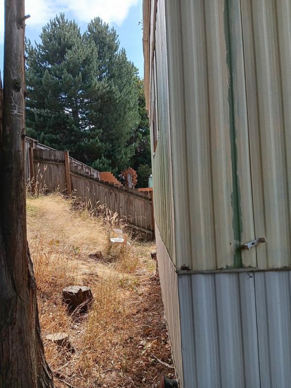 1977 Tamarack  Home