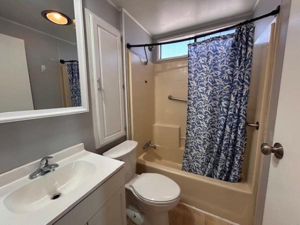 1989 Skyline Mobile Home