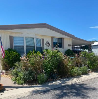Photo 1 of 42 of home located at 1056 Dove Lane Tarpon Springs, FL 34689