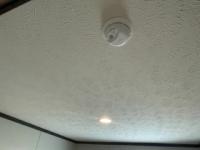 2023 Clayton Homes Inc MIYO Mobile Home
