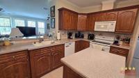 2007 PALM   Home